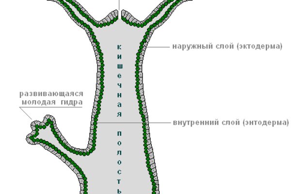 Кракен новый маркетплейс