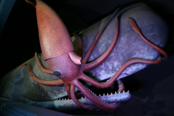 Кракен войти kraken darknet 2n com